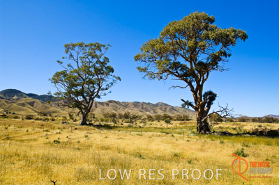 October 2005 / LANDSCAPES_SA_092__051013__TRP4407