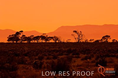 October 2005 / LANDSCAPES_SA_096__051013__TRP4368