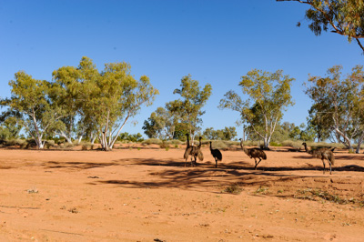 August 2011 / THE_RUN_237_(110812)