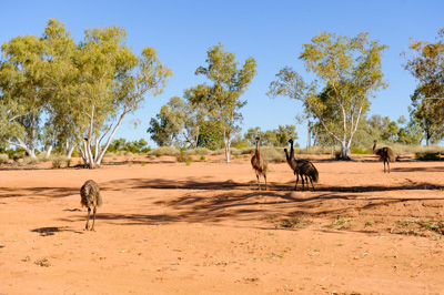 August 2011 / THE_RUN_238_(110812)