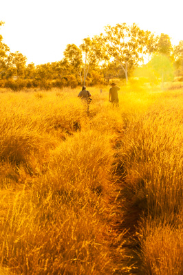 August 2011 / THE_RUN_266_(110813)