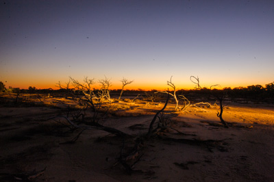 August 2011 / THE_RUN_355_(110816)