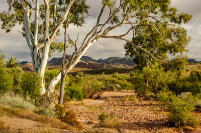 August 2011 / THE_RUN_394_(110819)