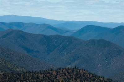 January 2008 / X_MAS_07_TRP8366_080104