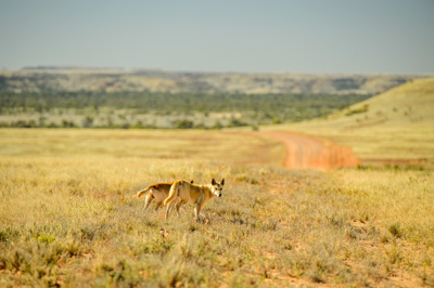 August 2012 / _TRP1459