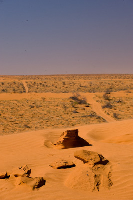 July 2008 / _TRP6328