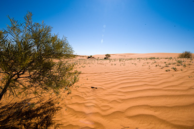 July 2008 / _TRP6329