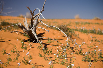 July 2008 / _TRP6334