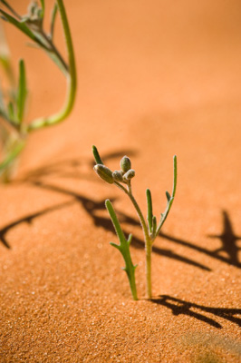 July 2008 / _TRP6340