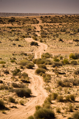 August 2008 / _TRP6364