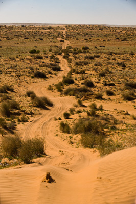 August 2008 / _TRP6367