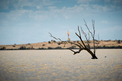 August 2008 / _TRP6499