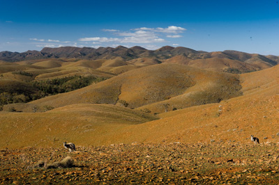 August 2008 / _TRP6755