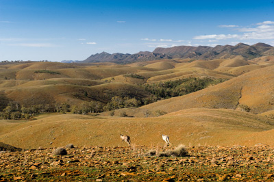 August 2008 / _TRP6757