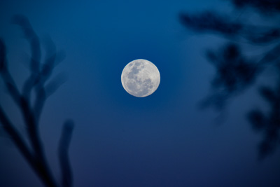 July 2018 / _TRP7991