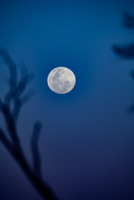 July 2018 / _TRP7992