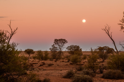 July 2018 / _TRP8005