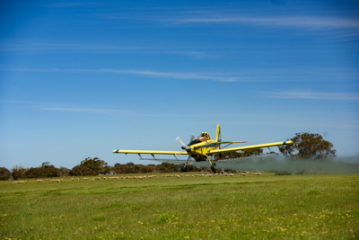 November 2016 / DSC_3501