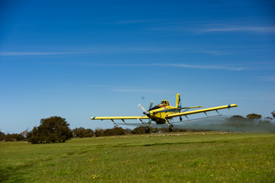 November 2016 / DSC_3502