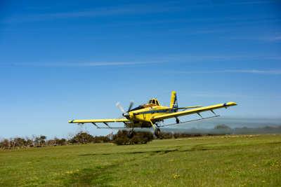 November 2016 / DSC_3503