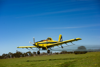 November 2016 / DSC_3504