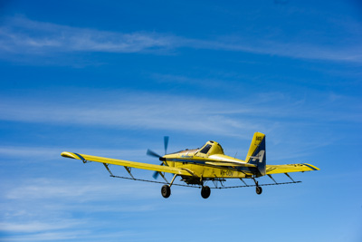 November 2016 / DSC_3508