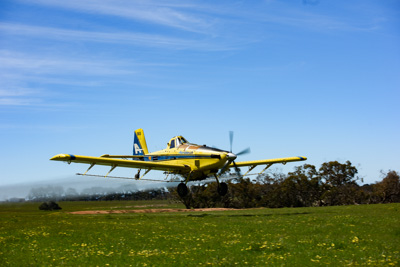 November 2016 / DSC_3533