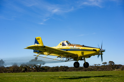 November 2016 / DSC_3534