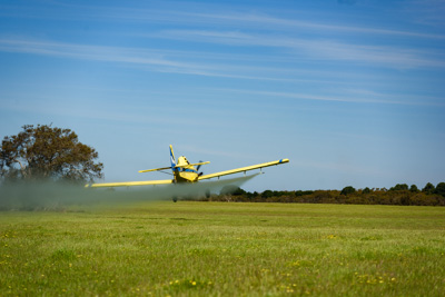 November 2016 / DSC_3540