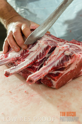 July 2013 / ABETOIRE_580