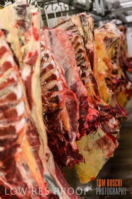 July 2013 / ABETOIRE_583