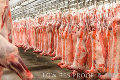 July 2013 / ABETOIRE_584