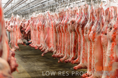 July 2013 / ABETOIRE_585