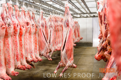 July 2013 / ABETOIRE_588