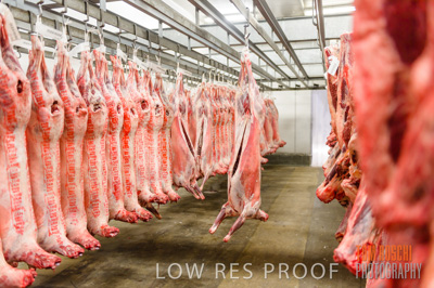 July 2013 / ABETOIRE_589