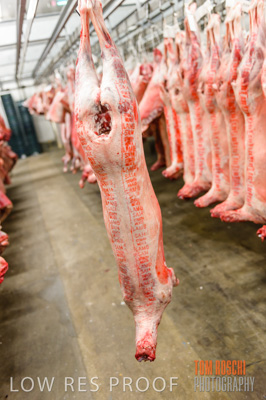 July 2013 / ABETOIRE_591