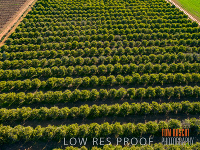 July 2017 / AGRI_1225