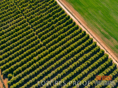 July 2017 / AGRI_1227