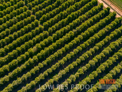 July 2017 / AGRI_1228