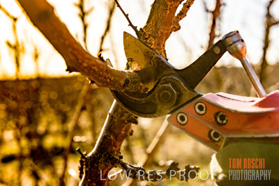 July 2017 / AGRI_1230