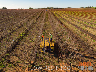 July 2017 / AGRI_1234