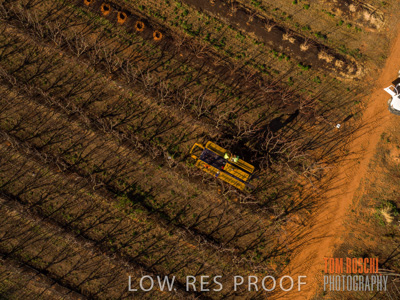 July 2017 / AGRI_1235