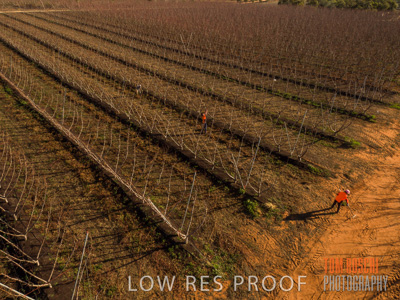 July 2017 / AGRI_1239