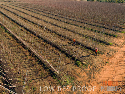 July 2017 / AGRI_1240