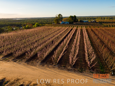 July 2017 / AGRI_1263