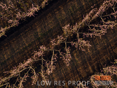 July 2017 / AGRI_1266