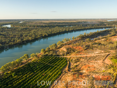 July 2017 / AGRI_1272