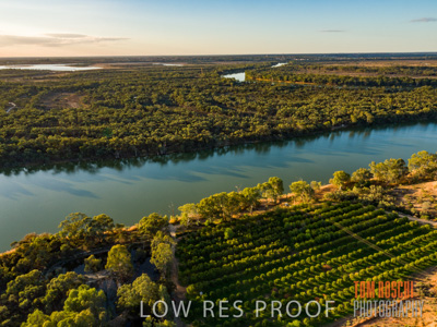 July 2017 / AGRI_1273