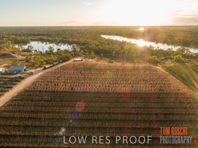 July 2017 / AGRI_1275