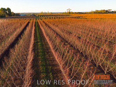 July 2017 / AGRI_1276